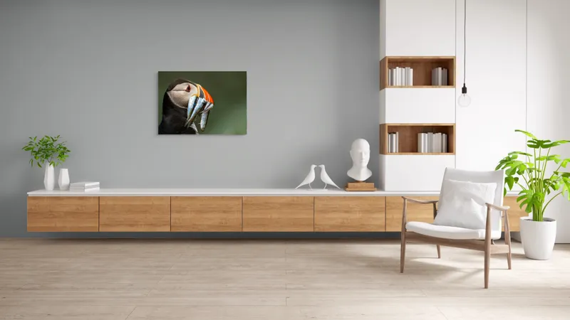 Tablou Canvas, "Papagalul arctic și prada sa argintie", Pasăre, Clovn, Portocaliu, Pești, Natură, Balanță, Prindere, Detaliu, Ochi, Faună, 100 x 70 cm – poza 6