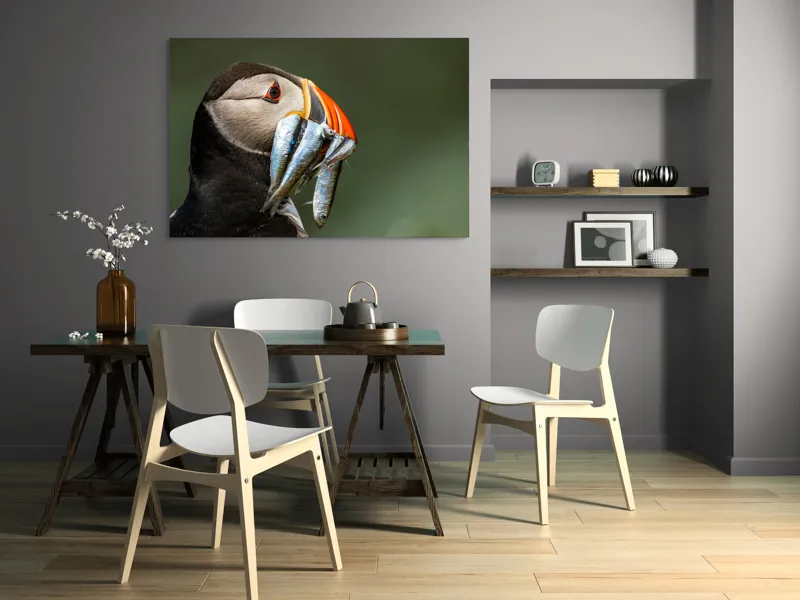 Tablou Canvas, "Papagalul arctic și prada sa argintie", Pasăre, Clovn, Portocaliu, Pești, Natură, Balanță, Prindere, Detaliu, Ochi, Faună, 150 x 100 cm – poza 5