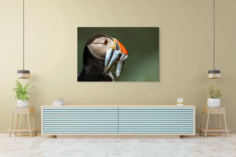 Tablou Canvas, "Papagalul arctic și prada sa argintie", Pasăre, Clovn, Portocaliu, Pești, Natură, Balanță, Prindere, Detaliu, Ochi, Faună, 150 x 100 cm – poza 6