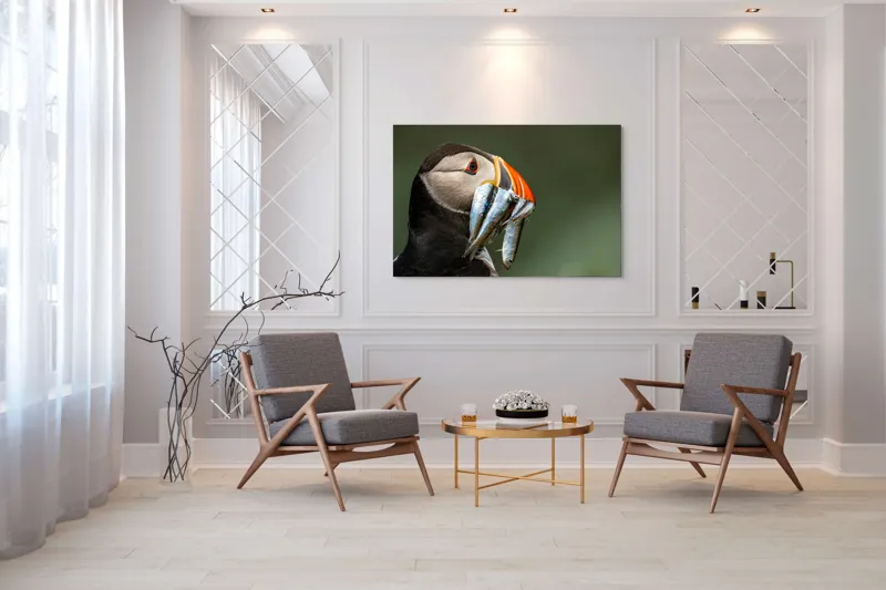 Tablou Canvas, "Papagalul arctic și prada sa argintie", Pasăre, Clovn, Portocaliu, Pești, Natură, Balanță, Prindere, Detaliu, Ochi, Faună, 150 x 100 cm – poza 7