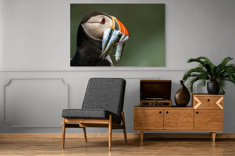 Tablou Canvas, "Papagalul arctic și prada sa argintie", Pasăre, Clovn, Portocaliu, Pești, Natură, Balanță, Prindere, Detaliu, Ochi, Faună, 150 x 100 cm – poza 8