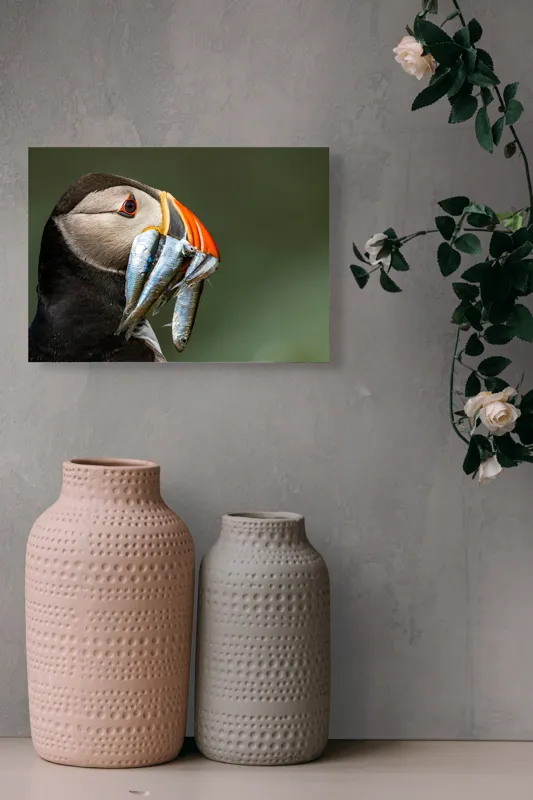 Tablou Canvas, "Papagalul arctic și prada sa argintie", Pasăre, Clovn, Portocaliu, Pești, Natură, Balanță, Prindere, Detaliu, Ochi, Faună, 54 x 39 cm – poza 8