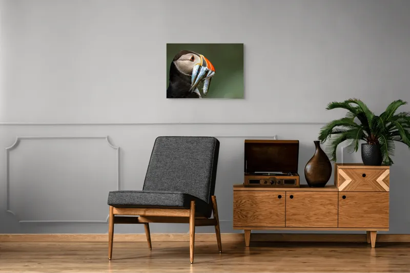 Tablou Canvas, "Papagalul arctic și prada sa argintie", Pasăre, Clovn, Portocaliu, Pești, Natură, Balanță, Prindere, Detaliu, Ochi, Faună, 70 x 50 cm – poza 4