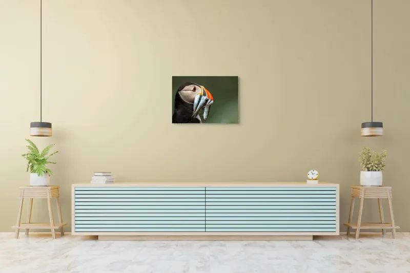 Tablou Canvas, "Papagalul arctic și prada sa argintie", Pasăre, Clovn, Portocaliu, Pești, Natură, Balanță, Prindere, Detaliu, Ochi, Faună, 70 x 50 cm – poza 7