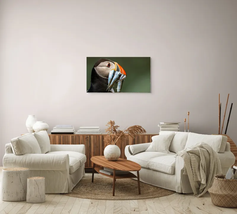 Tablou Canvas, "Papagalul arctic și prada sa argintie", Pasăre, Clovn, Portocaliu, Pești, Natură, Balanță, Prindere, Detaliu, Ochi, Faună, 90 x 50 cm – poza 4