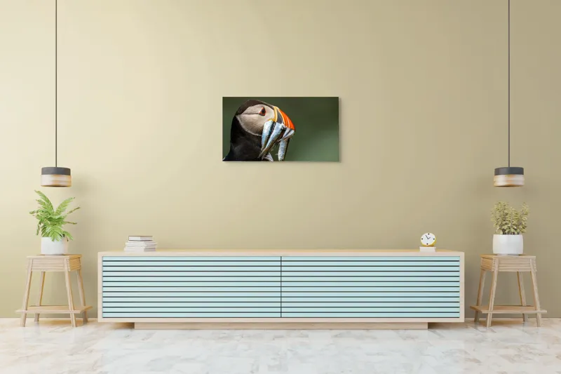 Tablou Canvas, "Papagalul arctic și prada sa argintie", Pasăre, Clovn, Portocaliu, Pești, Natură, Balanță, Prindere, Detaliu, Ochi, Faună, 90 x 50 cm – poza 5