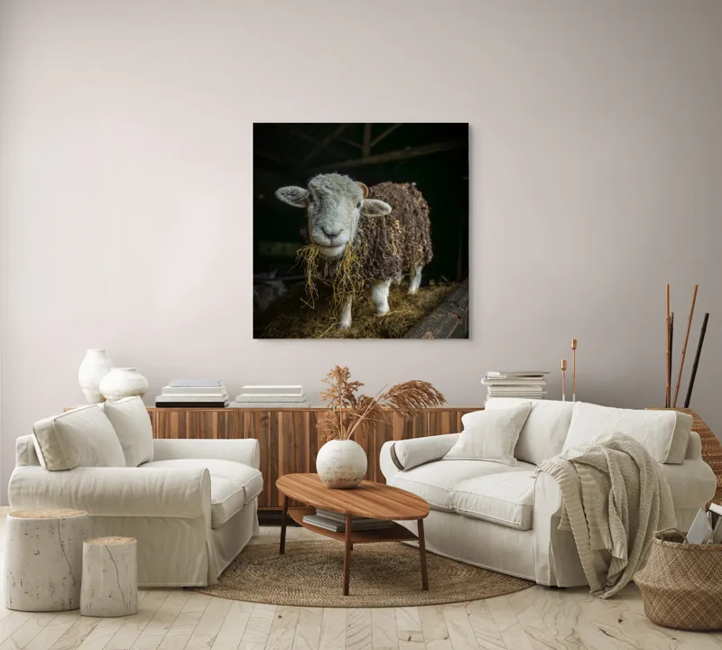 Tablou Canvas, "Oaia curioasă din grajdul întunecos", Oiță, Lână, Fân, Grajd, Blană, Urechi, Privire, Peisaj, Rural, Acoperiș, 100 x 100 cm – poza 3