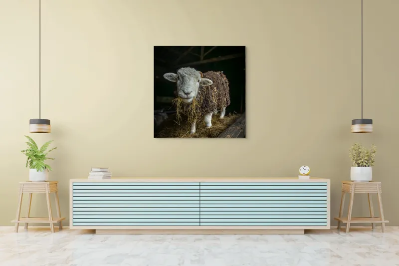 Tablou Canvas, "Oaia curioasă din grajdul întunecos", Oiță, Lână, Fân, Grajd, Blană, Urechi, Privire, Peisaj, Rural, Acoperiș, 100 x 100 cm – poza 5