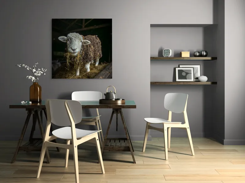 Tablou Canvas, "Oaia curioasă din grajdul întunecos", Oiță, Lână, Fân, Grajd, Blană, Urechi, Privire, Peisaj, Rural, Acoperiș, 100 x 100 cm – poza 6