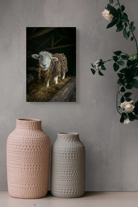 Tablou Canvas, "Oaia curioasă din grajdul întunecos", Oiță, Lână, Fân, Grajd, Blană, Urechi, Privire, Peisaj, Rural, Acoperiș, 26 x 39 cm – poza 6