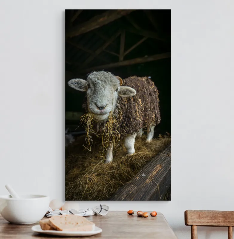 Tablou Canvas, "Oaia curioasă din grajdul întunecos", Oiță, Lână, Fân, Grajd, Blană, Urechi, Privire, Peisaj, Rural, Acoperiș, 50 x 90 cm – poza 3