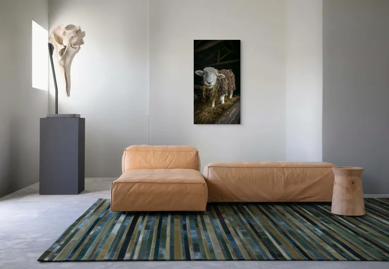Tablou Canvas, "Oaia curioasă din grajdul întunecos", Oiță, Lână, Fân, Grajd, Blană, Urechi, Privire, Peisaj, Rural, Acoperiș, 50 x 90 cm – poza 5