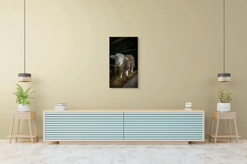 Tablou Canvas, "Oaia curioasă din grajdul întunecos", Oiță, Lână, Fân, Grajd, Blană, Urechi, Privire, Peisaj, Rural, Acoperiș, 50 x 90 cm – poza 6