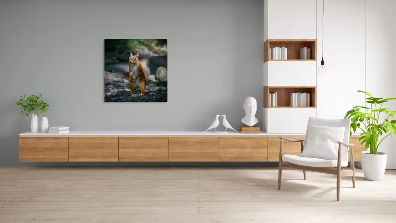 Tablou Canvas, "Veveriță curioasă în pădurea umbrită", Veveriță, Pădure, Umbră, Piatră, Blană, Coadă, Ochii, Lumină, Iarbă, Poză, 100 x 100 cm – poza 8