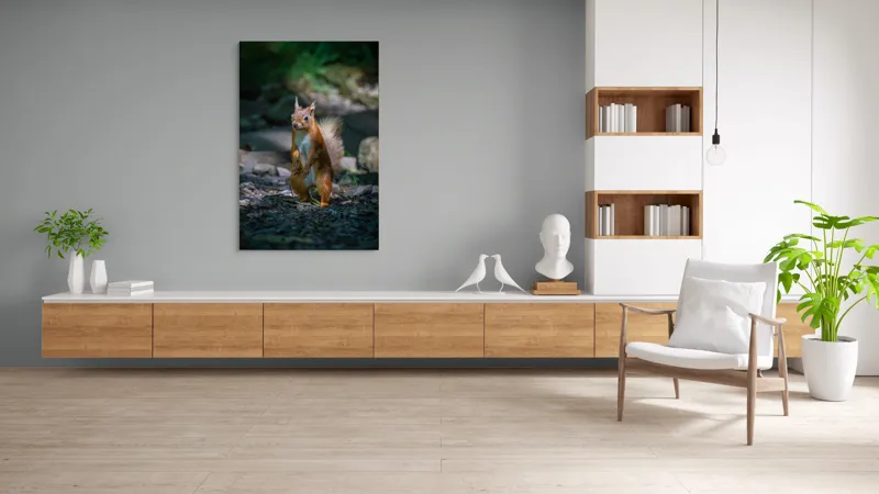 Tablou Canvas, "Veveriță curioasă în pădurea umbrită", Veveriță, Pădure, Umbră, Piatră, Blană, Coadă, Ochii, Lumină, Iarbă, Poză, 100 x 150 cm – poza 8