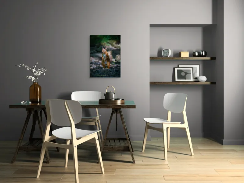 Tablou Canvas, "Veveriță curioasă în pădurea umbrită", Veveriță, Pădure, Umbră, Piatră, Blană, Coadă, Ochii, Lumină, Iarbă, Poză, 50 x 70 cm – poza 5