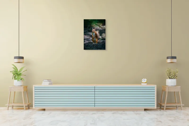 Tablou Canvas, "Veveriță curioasă în pădurea umbrită", Veveriță, Pădure, Umbră, Piatră, Blană, Coadă, Ochii, Lumină, Iarbă, Poză, 50 x 70 cm – poza 6