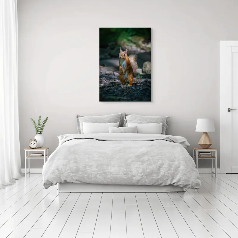 Tablou Canvas, "Veveriță curioasă în pădurea umbrită", Veveriță, Pădure, Umbră, Piatră, Blană, Coadă, Ochii, Lumină, Iarbă, Poză, 70 x 100 cm – poza 3