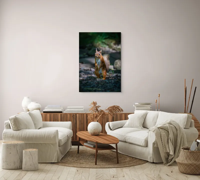 Tablou Canvas, "Veveriță curioasă în pădurea umbrită", Veveriță, Pădure, Umbră, Piatră, Blană, Coadă, Ochii, Lumină, Iarbă, Poză, 70 x 100 cm – poza 4
