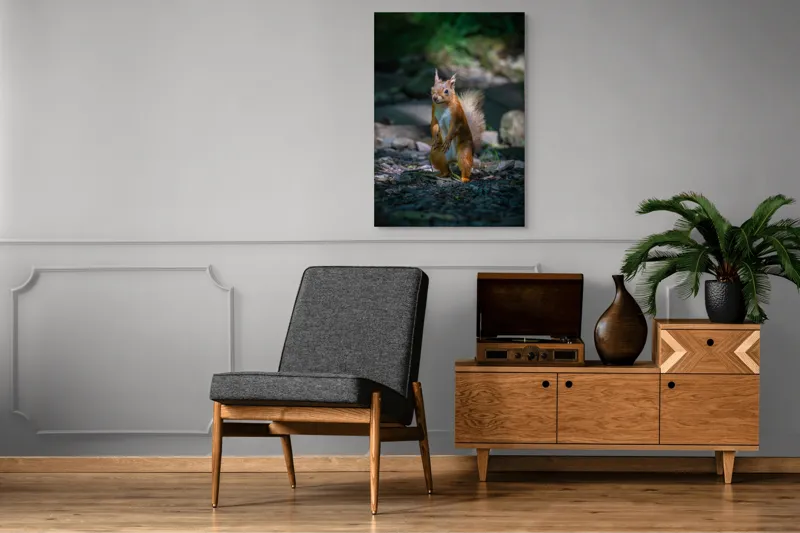 Tablou Canvas, "Veveriță curioasă în pădurea umbrită", Veveriță, Pădure, Umbră, Piatră, Blană, Coadă, Ochii, Lumină, Iarbă, Poză, 70 x 100 cm – poza 6