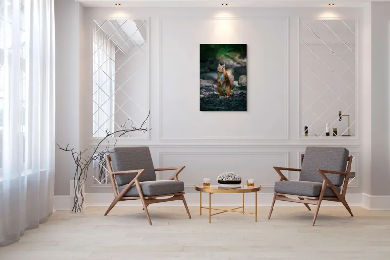 Tablou Canvas, "Veveriță curioasă în pădurea umbrită", Veveriță, Pădure, Umbră, Piatră, Blană, Coadă, Ochii, Lumină, Iarbă, Poză, 70 x 100 cm – poza 8
