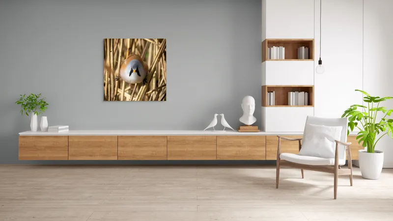 Tablou Canvas, "Micul acrobat printre trestii aurii", Pene, Rama, Ochii, Cioc, Natură, Trestie, Conținut, Verde, Contrast, Detaliu, 100 x 100 cm – poza 8