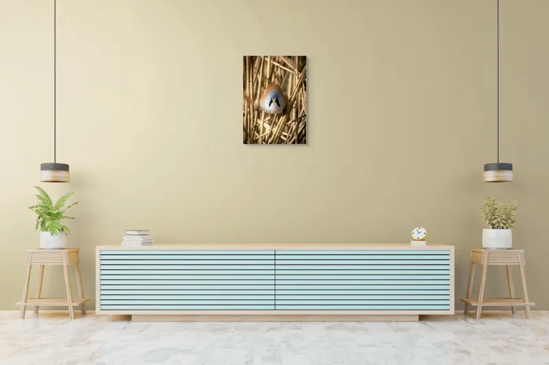 Tablou Canvas, "Micul acrobat printre trestii aurii", Pene, Rama, Ochii, Cioc, Natură, Trestie, Conținut, Verde, Contrast, Detaliu, 50 x 70 cm – poza 6