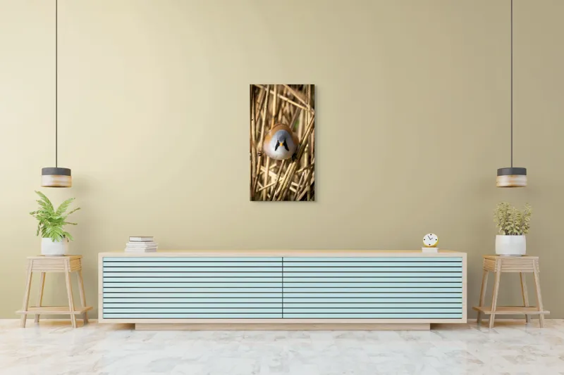 Tablou Canvas, "Micul acrobat printre trestii aurii", Pene, Rama, Ochii, Cioc, Natură, Trestie, Conținut, Verde, Contrast, Detaliu, 50 x 90 cm – poza 6