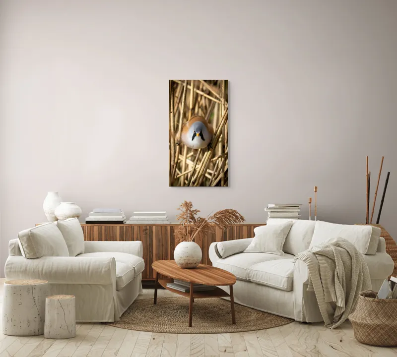 Tablou Canvas, "Micul acrobat printre trestii aurii", Pene, Rama, Ochii, Cioc, Natură, Trestie, Conținut, Verde, Contrast, Detaliu, 50 x 90 cm – poza 7