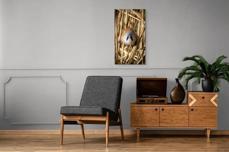 Tablou Canvas, "Micul acrobat printre trestii aurii", Pene, Rama, Ochii, Cioc, Natură, Trestie, Conținut, Verde, Contrast, Detaliu, 50 x 90 cm – poza 8