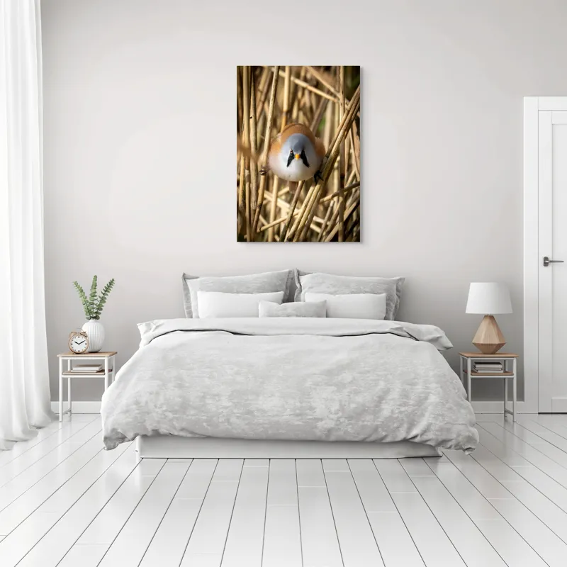 Tablou Canvas, "Micul acrobat printre trestii aurii", Pene, Rama, Ochii, Cioc, Natură, Trestie, Conținut, Verde, Contrast, Detaliu, 70 x 100 cm – poza 3
