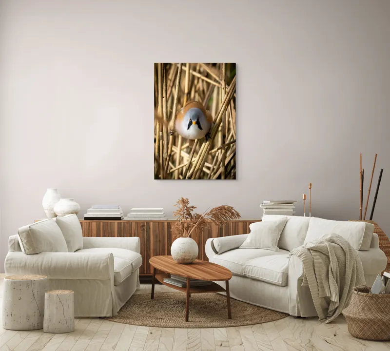 Tablou Canvas, "Micul acrobat printre trestii aurii", Pene, Rama, Ochii, Cioc, Natură, Trestie, Conținut, Verde, Contrast, Detaliu, 70 x 100 cm – poza 4