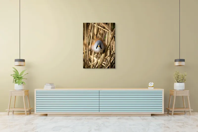 Tablou Canvas, "Micul acrobat printre trestii aurii", Pene, Rama, Ochii, Cioc, Natură, Trestie, Conținut, Verde, Contrast, Detaliu, 70 x 100 cm – poza 5