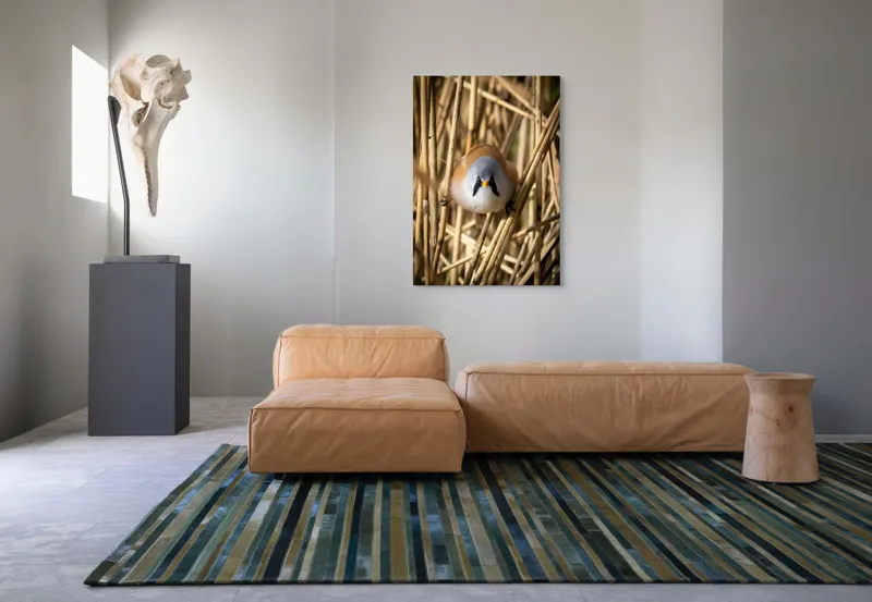 Tablou Canvas, "Micul acrobat printre trestii aurii", Pene, Rama, Ochii, Cioc, Natură, Trestie, Conținut, Verde, Contrast, Detaliu, 70 x 100 cm – poza 7