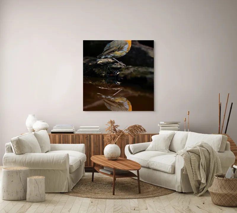 Tablou Canvas, "Pasărea și reflexia apei serene", Pasăre, Oglindire, Apă, Natură, Pene, Culoare, Frumusețe, Contrast, 100 x 100 cm – poza 3