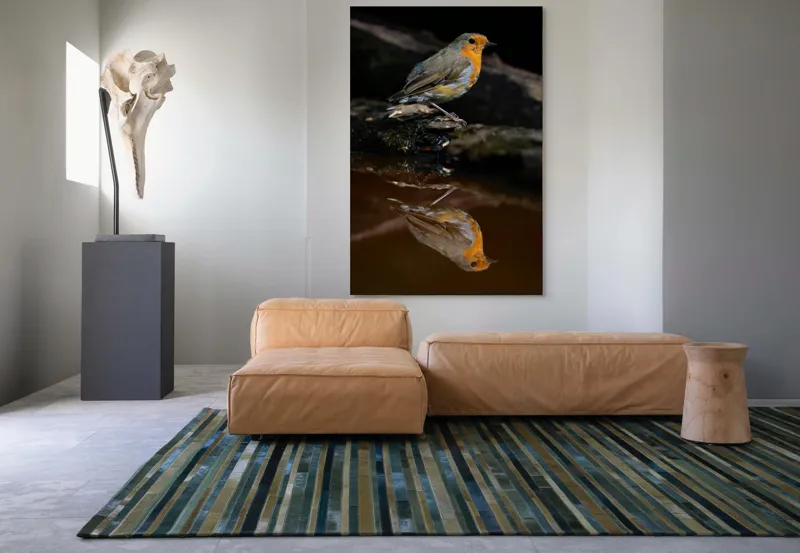 Tablou Canvas, "Pasărea și reflexia apei serene", Pasăre, Oglindire, Apă, Natură, Pene, Culoare, Frumusețe, Contrast, 100 x 150 cm – poza 7