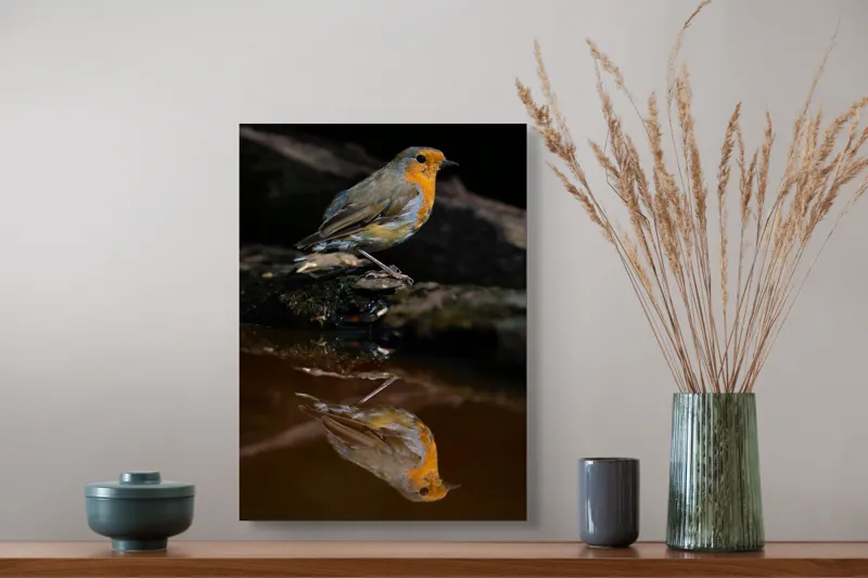 Tablou Canvas, "Pasărea și reflexia apei serene", Pasăre, Oglindire, Apă, Natură, Pene, Culoare, Frumusețe, Contrast, 39 x 54 cm – poza 3