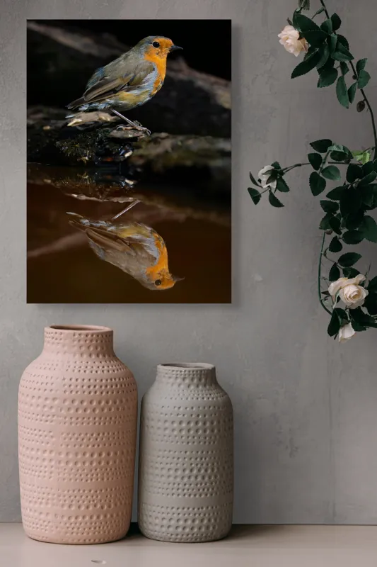 Tablou Canvas, "Pasărea și reflexia apei serene", Pasăre, Oglindire, Apă, Natură, Pene, Culoare, Frumusețe, Contrast, 39 x 54 cm – poza 6