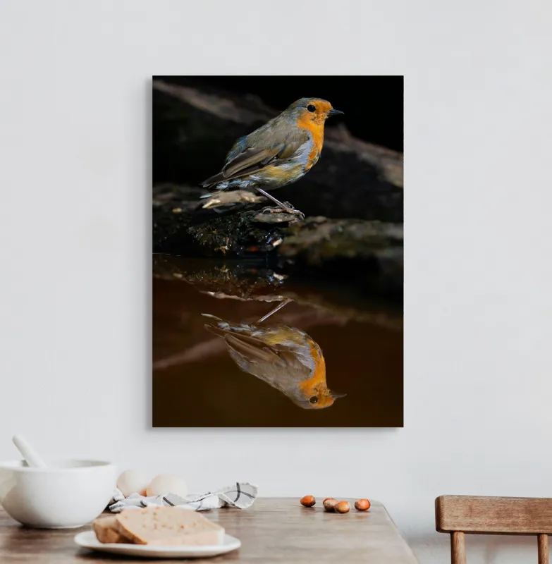 Tablou Canvas, "Pasărea și reflexia apei serene", Pasăre, Oglindire, Apă, Natură, Pene, Culoare, Frumusețe, Contrast, 50 x 70 cm – poza 3
