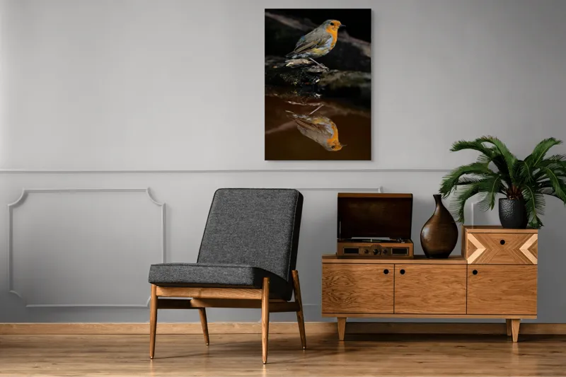 Tablou Canvas, "Pasărea și reflexia apei serene", Pasăre, Oglindire, Apă, Natură, Pene, Culoare, Frumusețe, Contrast, 70 x 100 cm – poza 6