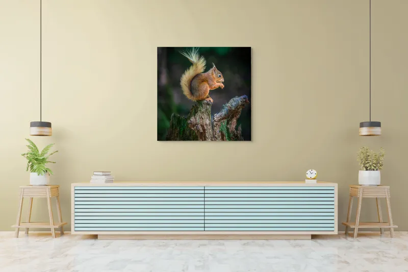 Tablou Canvas, "Veveriță pe trunchi mâncând semințe", Veveriță, Coadă, Blană, Trunchi, Copac, Natură, Pădure, Verde, Lemn, Adorabilă, 100 x 100 cm – poza 5