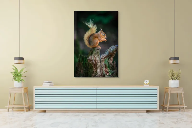 Tablou Canvas, "Veveriță pe trunchi mâncând semințe", Veveriță, Coadă, Blană, Trunchi, Copac, Natură, Pădure, Verde, Lemn, Adorabilă, 100 x 150 cm – poza 4