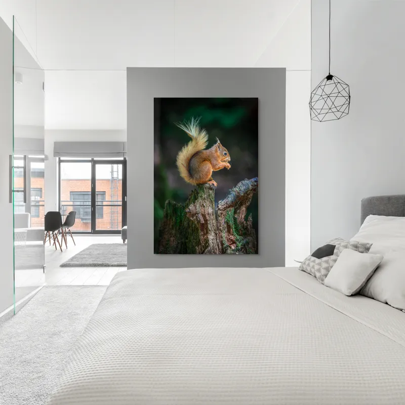 Tablou Canvas, "Veveriță pe trunchi mâncând semințe", Veveriță, Coadă, Blană, Trunchi, Copac, Natură, Pădure, Verde, Lemn, Adorabilă, 100 x 150 cm – poza 5