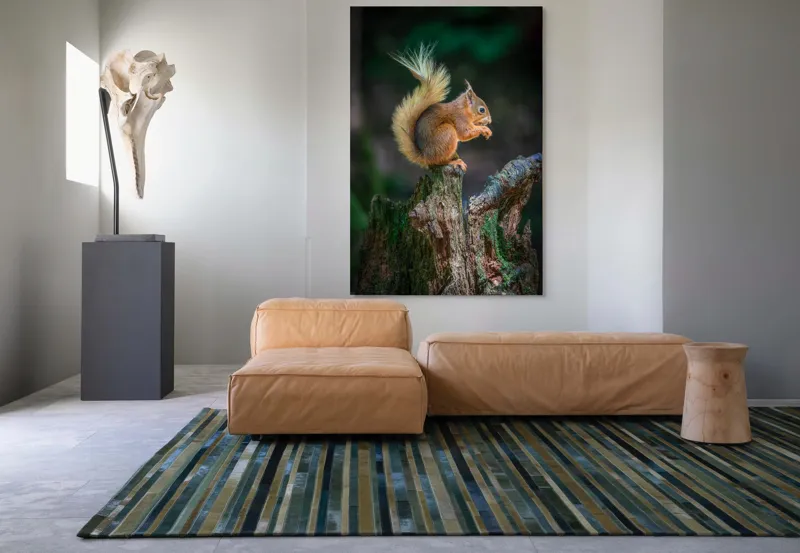 Tablou Canvas, "Veveriță pe trunchi mâncând semințe", Veveriță, Coadă, Blană, Trunchi, Copac, Natură, Pădure, Verde, Lemn, Adorabilă, 100 x 150 cm – poza 7