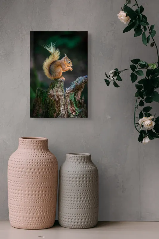 Tablou Canvas, "Veveriță pe trunchi mâncând semințe", Veveriță, Coadă, Blană, Trunchi, Copac, Natură, Pădure, Verde, Lemn, Adorabilă, 26 x 39 cm – poza 6