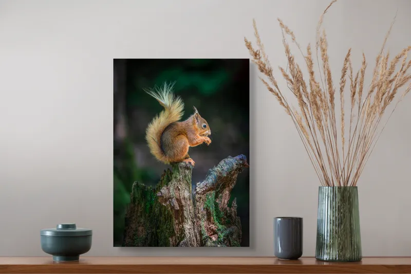 Tablou Canvas, "Veveriță pe trunchi mâncând semințe", Veveriță, Coadă, Blană, Trunchi, Copac, Natură, Pădure, Verde, Lemn, Adorabilă, 39 x 54 cm – poza 3