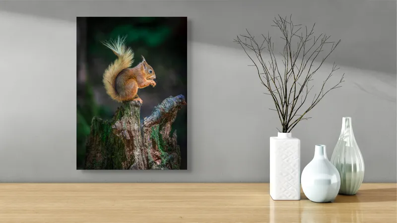 Tablou Canvas, "Veveriță pe trunchi mâncând semințe", Veveriță, Coadă, Blană, Trunchi, Copac, Natură, Pădure, Verde, Lemn, Adorabilă, 39 x 54 cm – poza 4