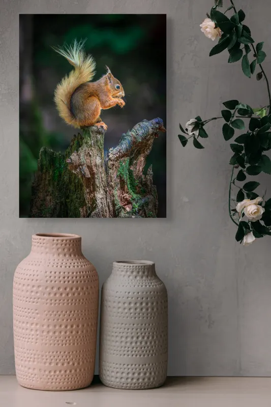 Tablou Canvas, "Veveriță pe trunchi mâncând semințe", Veveriță, Coadă, Blană, Trunchi, Copac, Natură, Pădure, Verde, Lemn, Adorabilă, 39 x 54 cm – poza 6