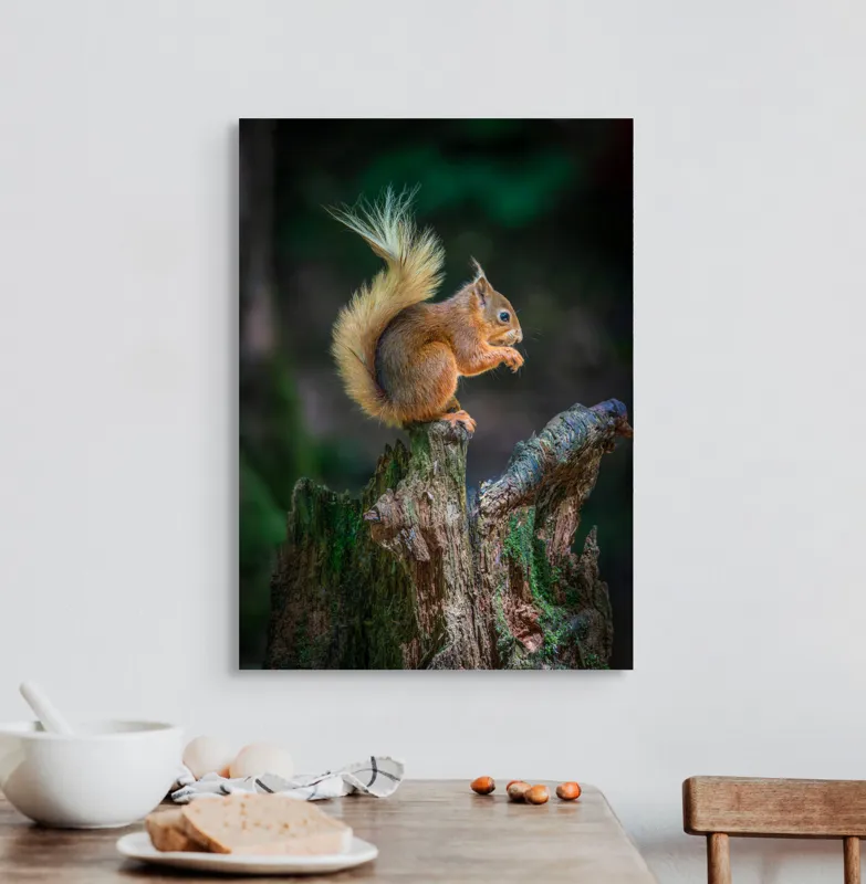Tablou Canvas, "Veveriță pe trunchi mâncând semințe", Veveriță, Coadă, Blană, Trunchi, Copac, Natură, Pădure, Verde, Lemn, Adorabilă, 50 x 70 cm – poza 3