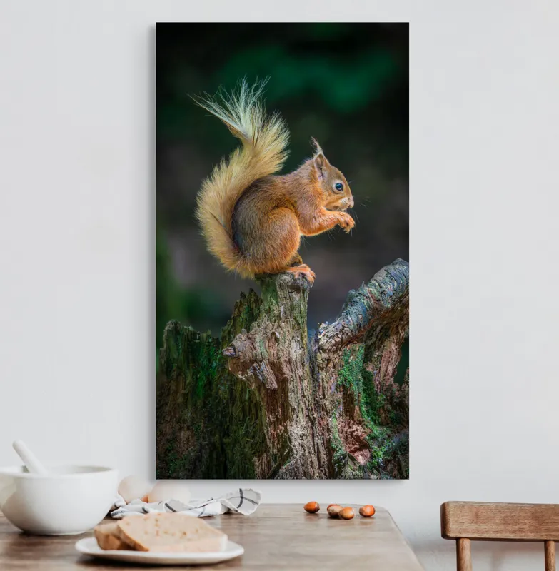Tablou Canvas, "Veveriță pe trunchi mâncând semințe", Veveriță, Coadă, Blană, Trunchi, Copac, Natură, Pădure, Verde, Lemn, Adorabilă, 50 x 90 cm – poza 3
